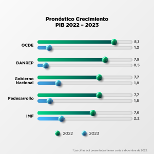 Carolina Soto, socia senior de Dattis, agencia de comunicación estratégica, analiza el panorama económico para Colombia en el 2023.